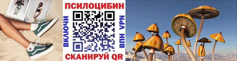 Купить  Сольвычегодск  Псилоцибиновые грибы Cubensis 